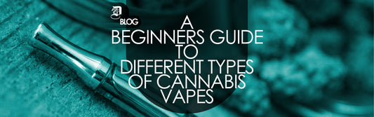 A beginners guide to different types of cannabis vapes blog picture on dragonvape.ca