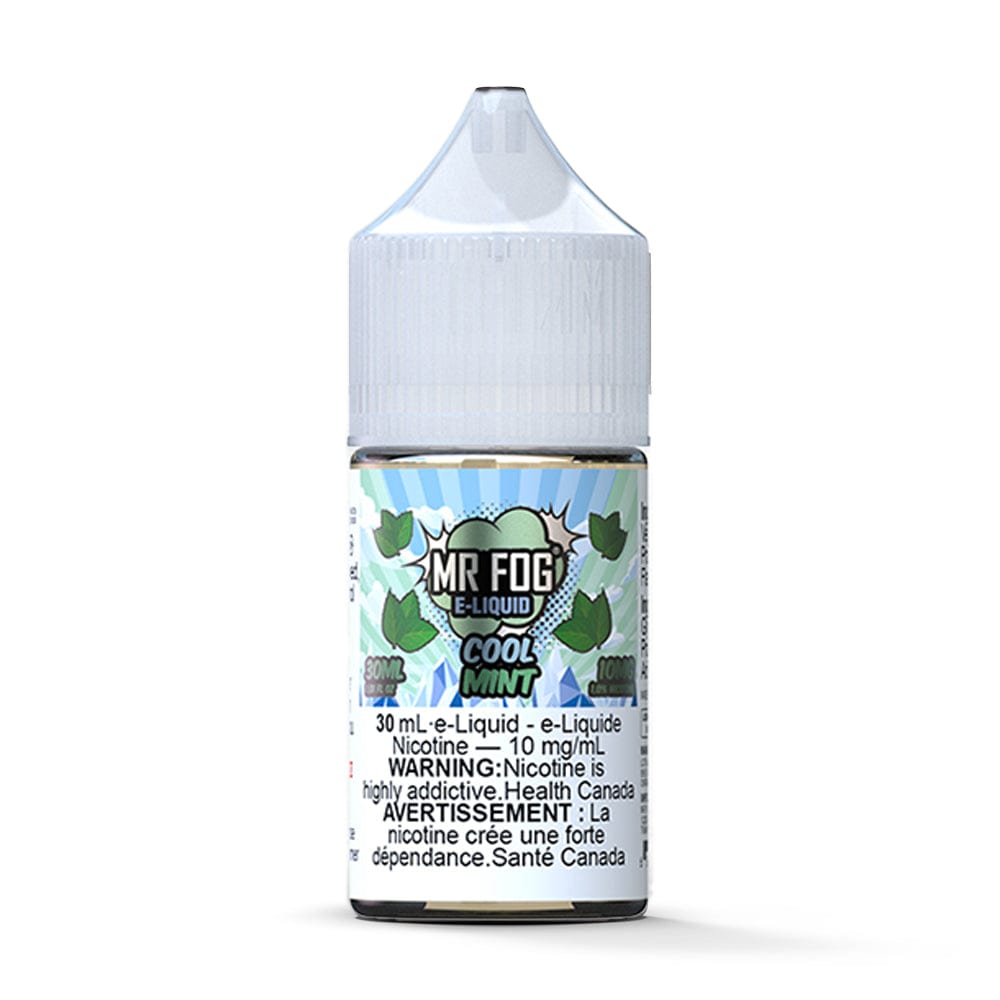 Mr. Fog Salt - Cool Mint Nic Salt available on Canada online vape shop