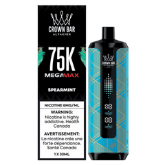 Al Fakher Mega Max 75K - Spearmint Disposable Vape available on Canada online vape shop